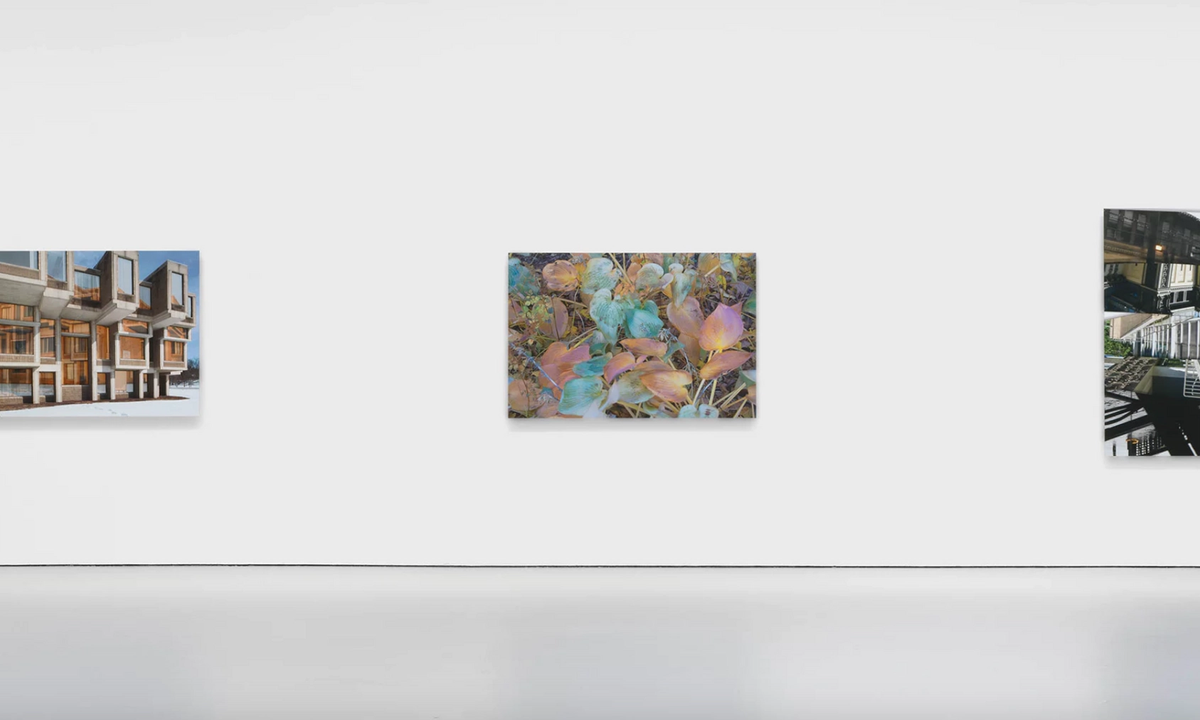 New York shows of Richard Mosse and James Welling take photography to its limits