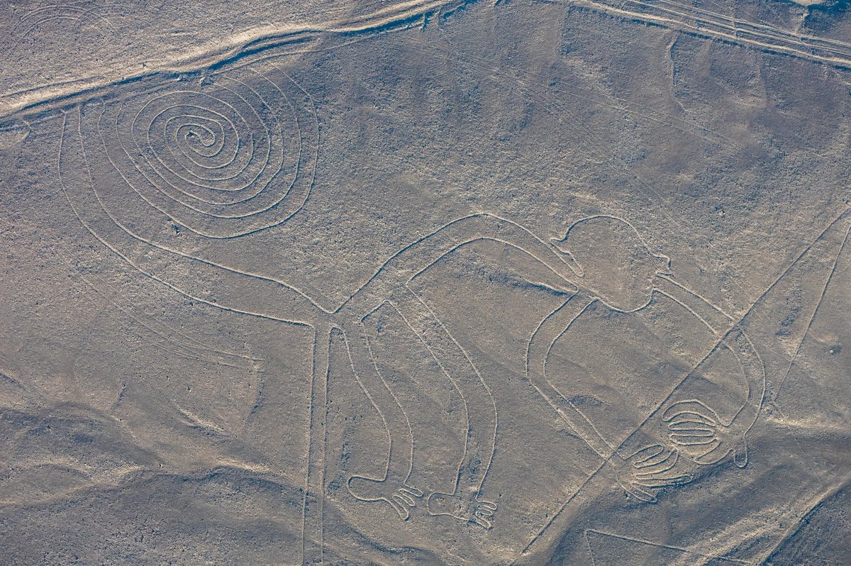 A partial aerial view of the Nazca Lines in Peru Photo by Diego Delso, via Wikimedia Commons