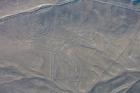 Peruvian government reverses decision to shrink Nazca Lines site by nearly half
