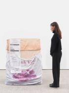 More US artists forced to pay for their own shows as museum and culture budgets shrink