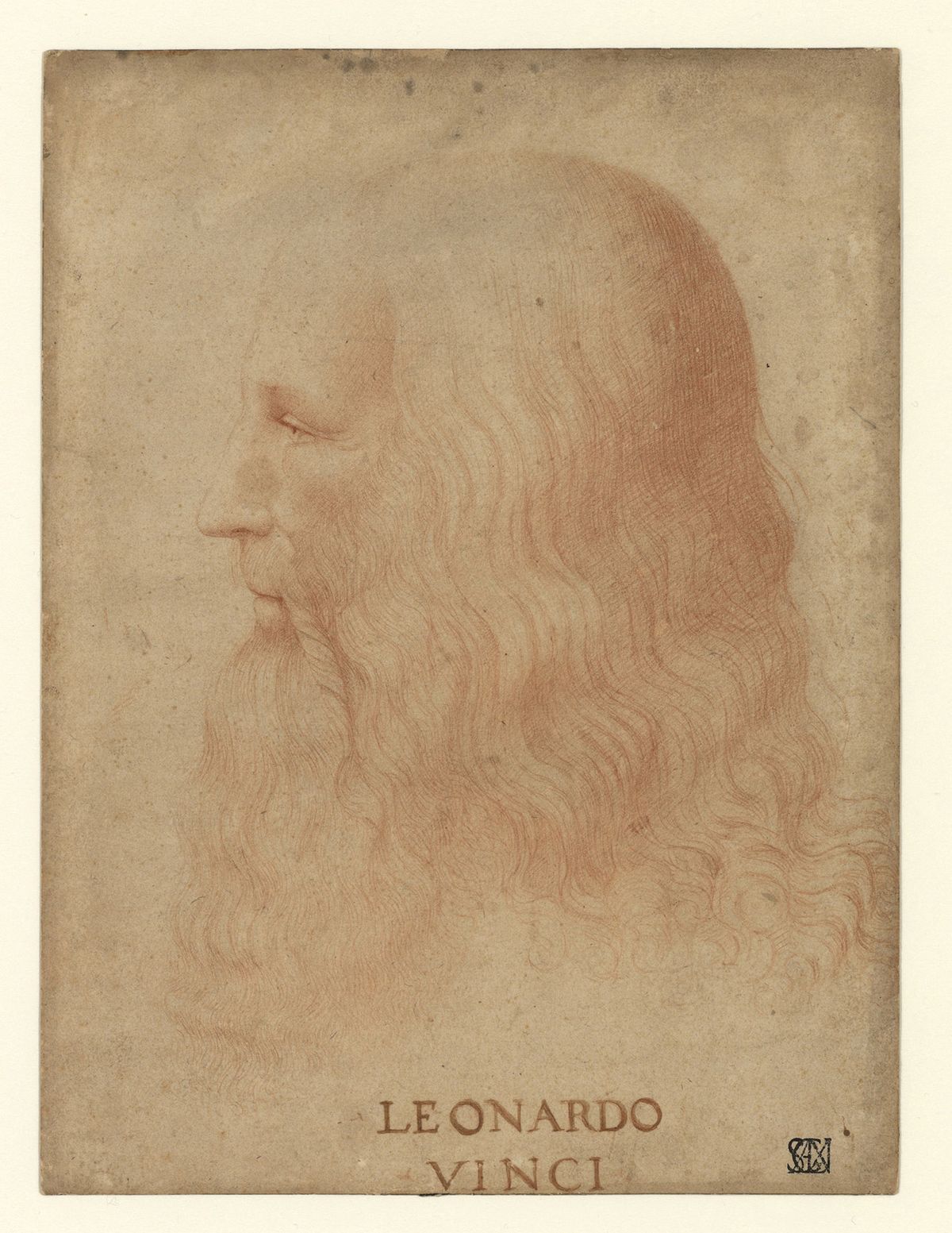 Attributed to Marco D'Oggiono (1475-1530). Portrait of Leonardo da Vinci. © Veneranda Biblioteca Ambrosiana
