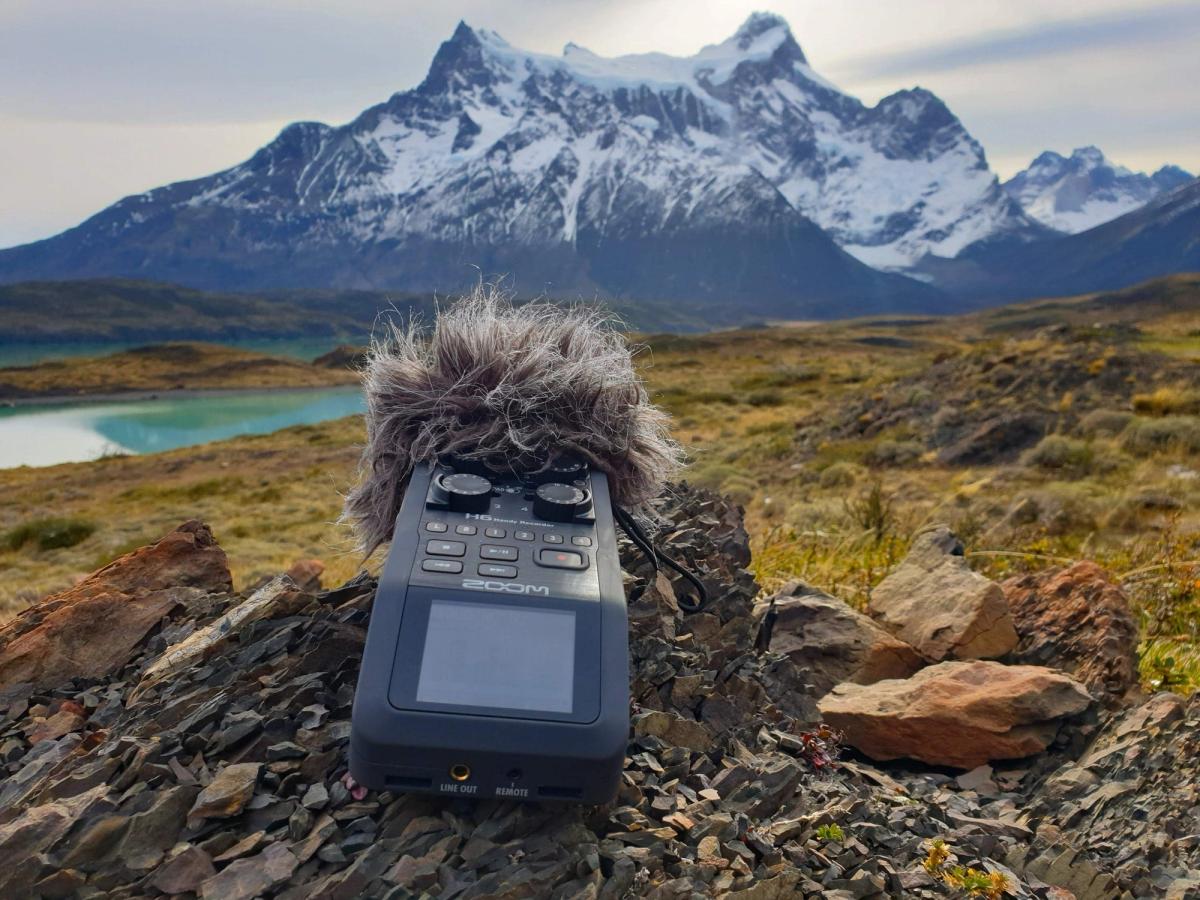 The project will see artists from around the world transform the sounds people have sent in into compositions
Courtesy: Cities and Memory