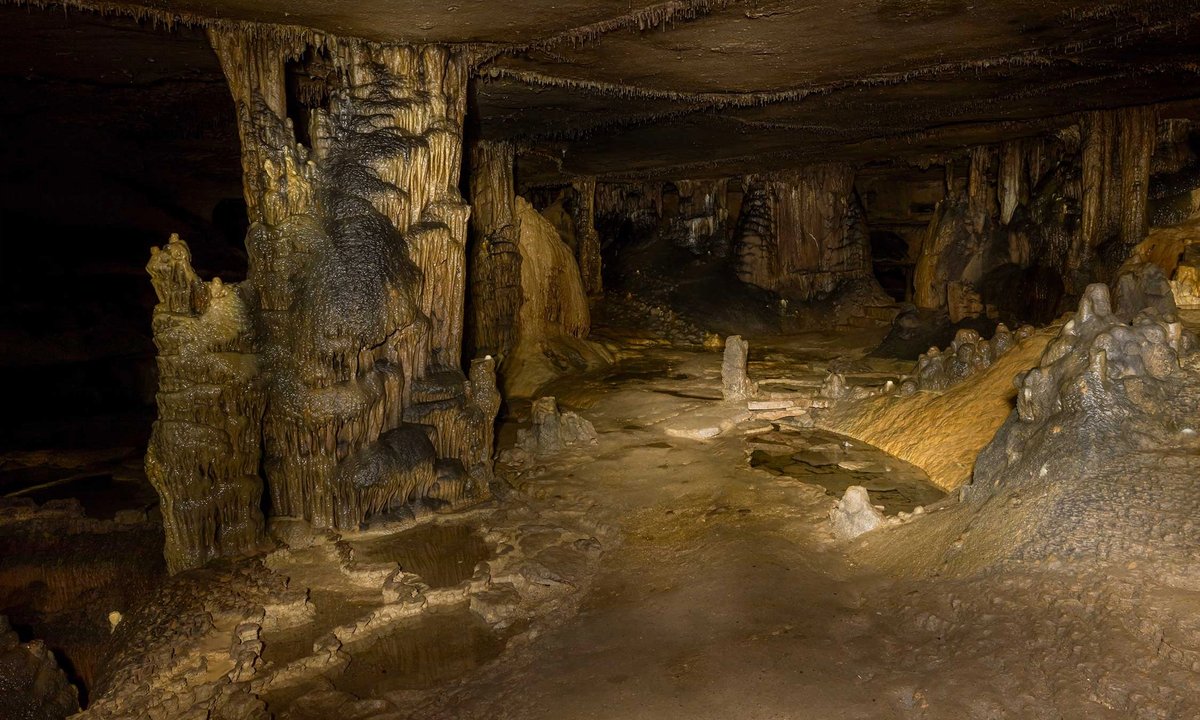 Protecting North America's oldest cave art after an historic flood raised new alarms