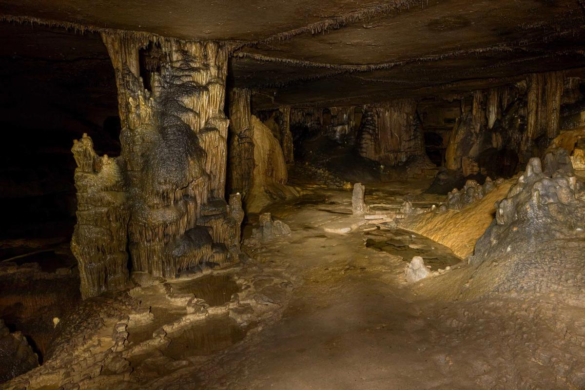 Dunbar Cave is not accustomed to the fast-moving waters witnessed in February, prompting concerns from environmentalists and historians
Photo: David Duplessis © TennesseePhotographs.com