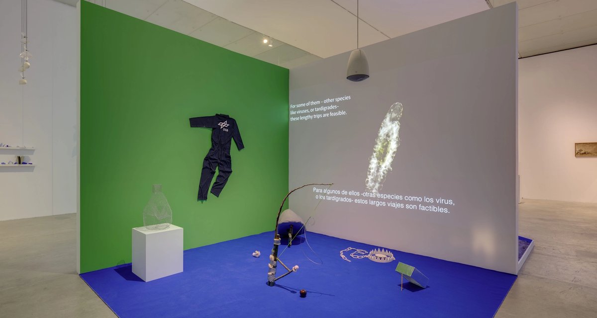 Clear Coordinates for Our Confusion, at the Muac, is Julieta Aranda’s first major institutional exhibition in Mexico City Photo: Oliver Santana