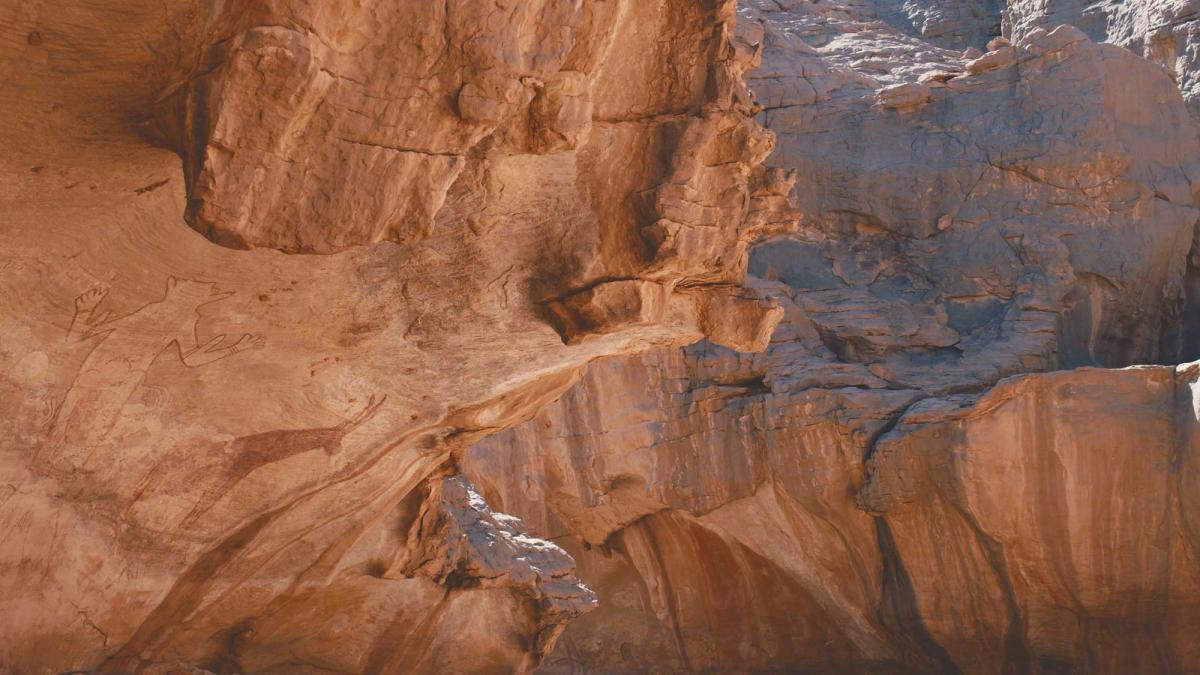 ‘The violence of imagemaking is embedded in the work’ Lydia Ourahmane