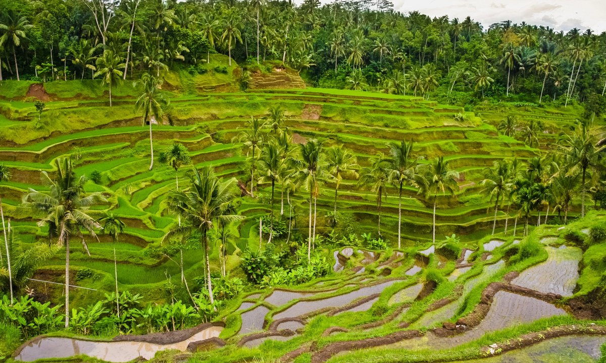 Cultural sector must do more to protect heritage, say campaigners, as Unesco sites most at risk from climate change revealed Cultural sector must do more to protect heritage, say campaigners, as Unesco sites most at risk from climate change revealed