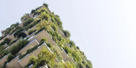 'Building your way to sustainability is a bad idea, no matter how green your new building is' 