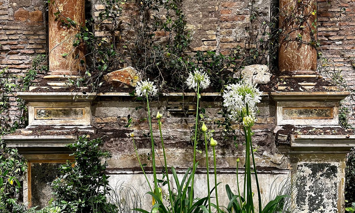 Valuable Okoyomon fills Roman chapel with a backyard of unearthly delights Valuable Okoyomon fills Roman chapel with a backyard of unearthly delights