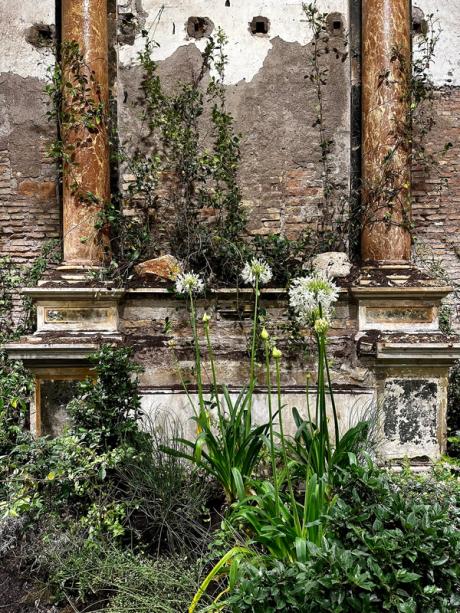  Poisonous plants and an animatronic bear: Precious Okoyomon fills Roman chapel with a garden of unearthly delights 