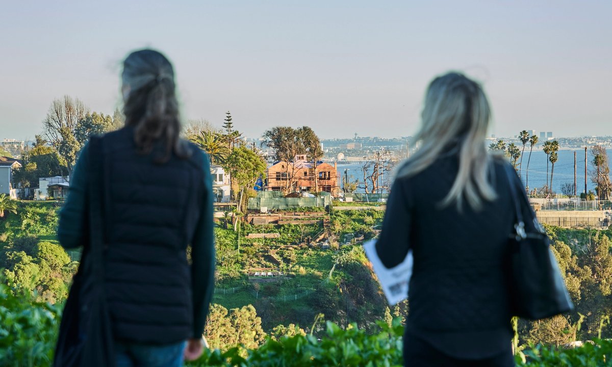 Palisades Fire Memorial rises from the ashes – The Art Newspaper Palisades Fire Memorial rises from the ashes – The Art Newspaper