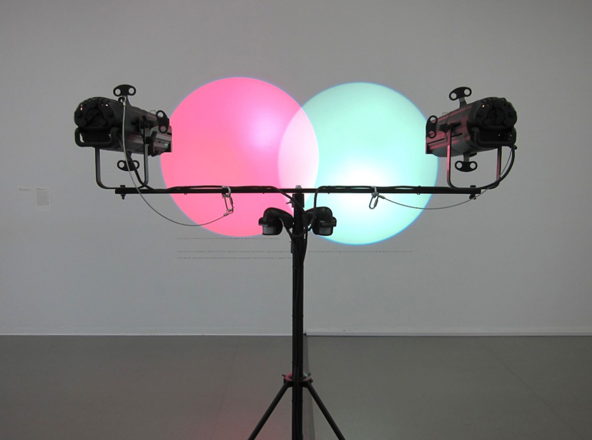 Amalia Pica, Venn Diagrams (Under the Spotlight) (2011), promised gift of Patricia Phelps de Cisneros through the Latin American and Caribbean Fund Courtesy of MoMA