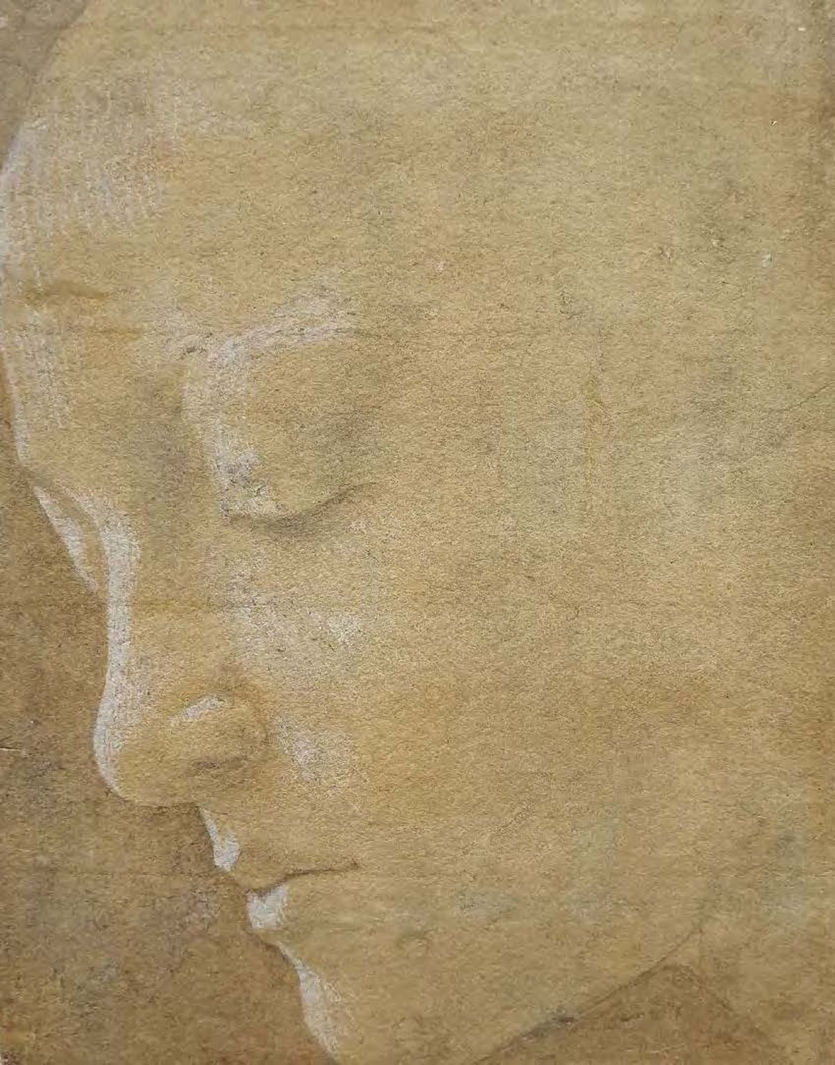 One of the works curator Furio Rinaldi recently attributed to Botticelli, Head of a woman looking down to the left, 1468-70 Christ Church Picture Gallery, Oxford, UK