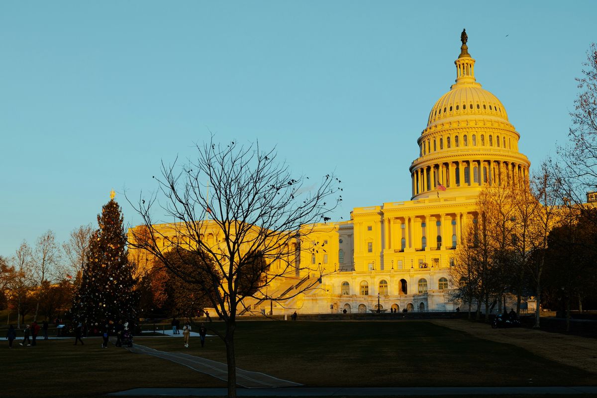 The US Capitol building in Washington, DC Photo by Vincent Yuan @USA on Unsplash