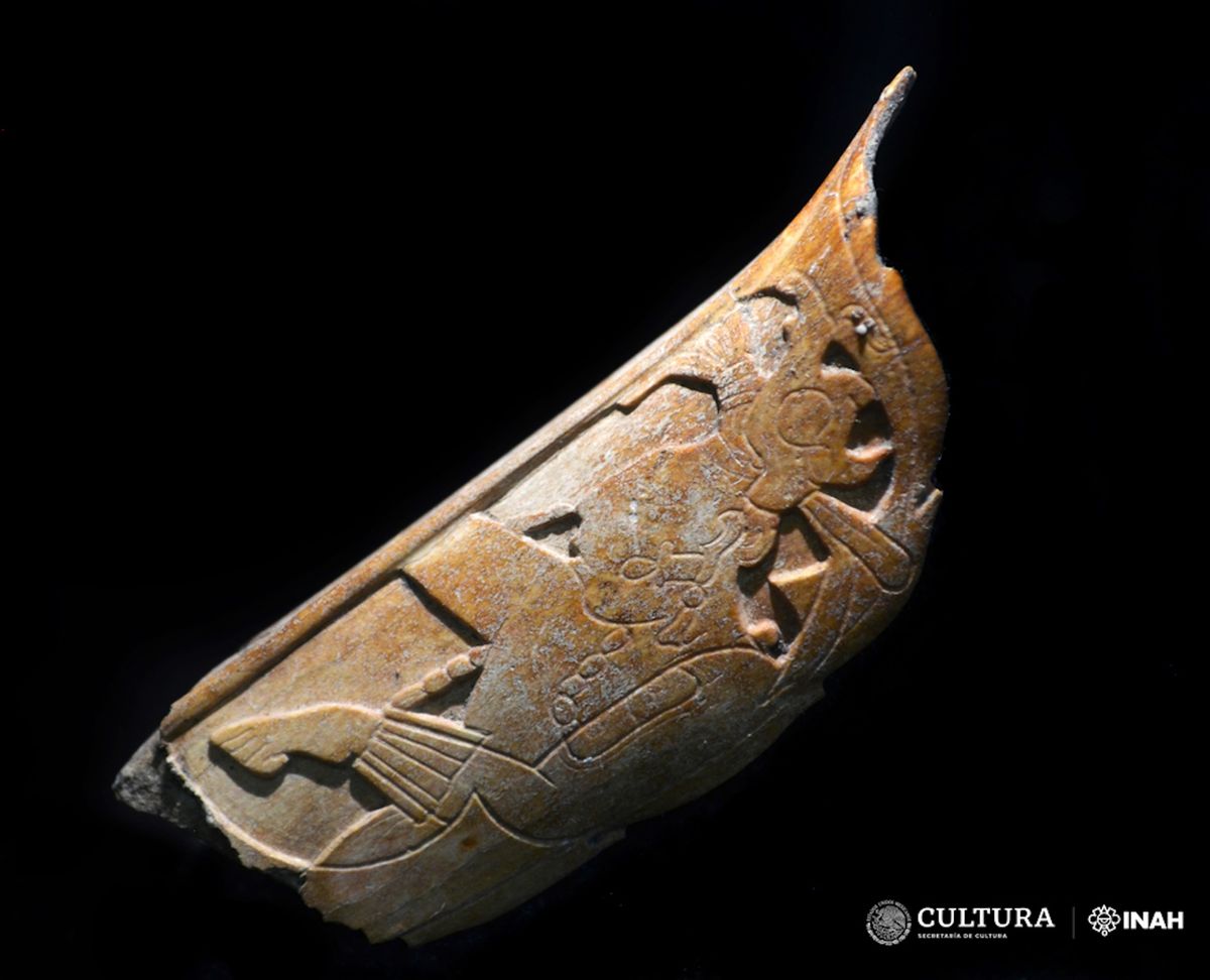 The ancient nose ornament recently discovered in Palenque, Mexico Photo by Carlos Varela Scherrer. Courtesy INAH
