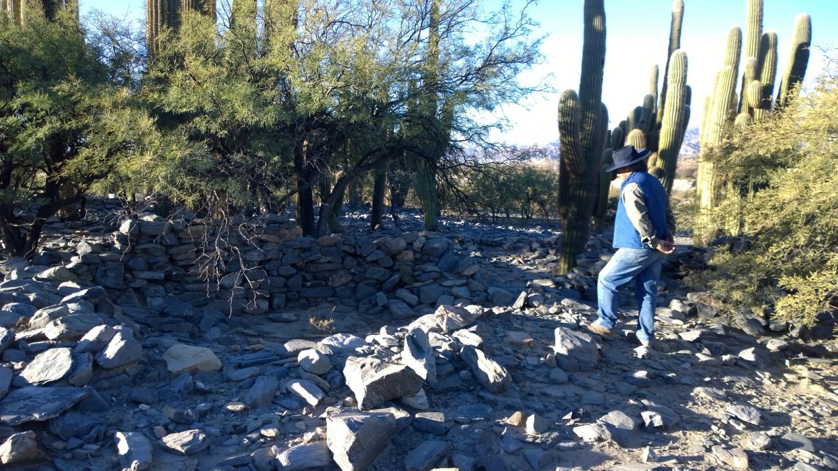 Archaeologists discovered the Cerro Quemado site with the help of a local high school student Photo: Catriel Greco