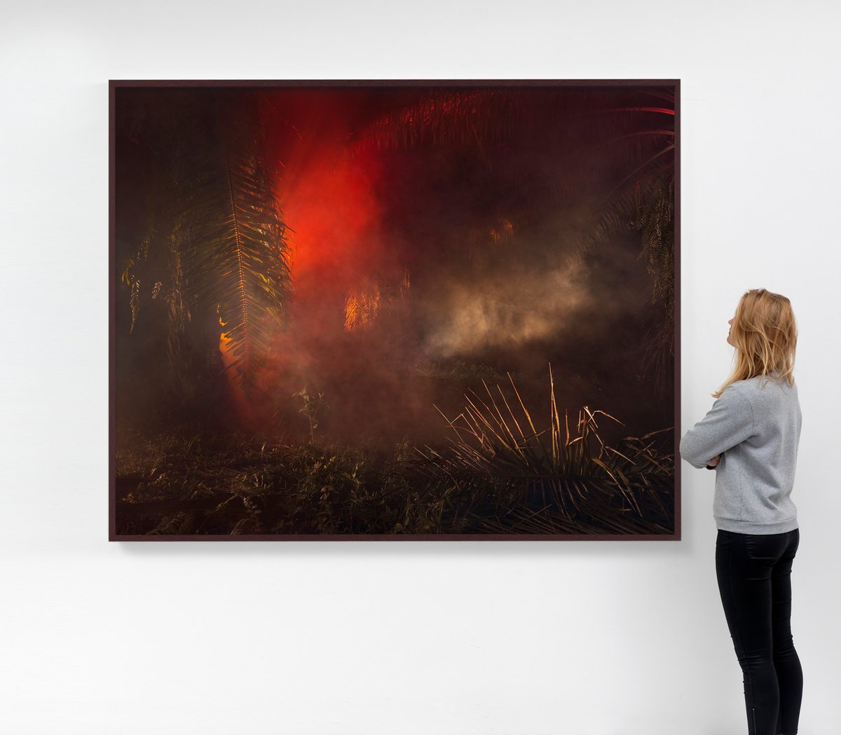 Julian Charrière, An Invitation to Disappear- Kinabatangan (2018) Courtesy of Dittrich & Schlechtriem, Berlin; Sies + Höke, Düsseldorf