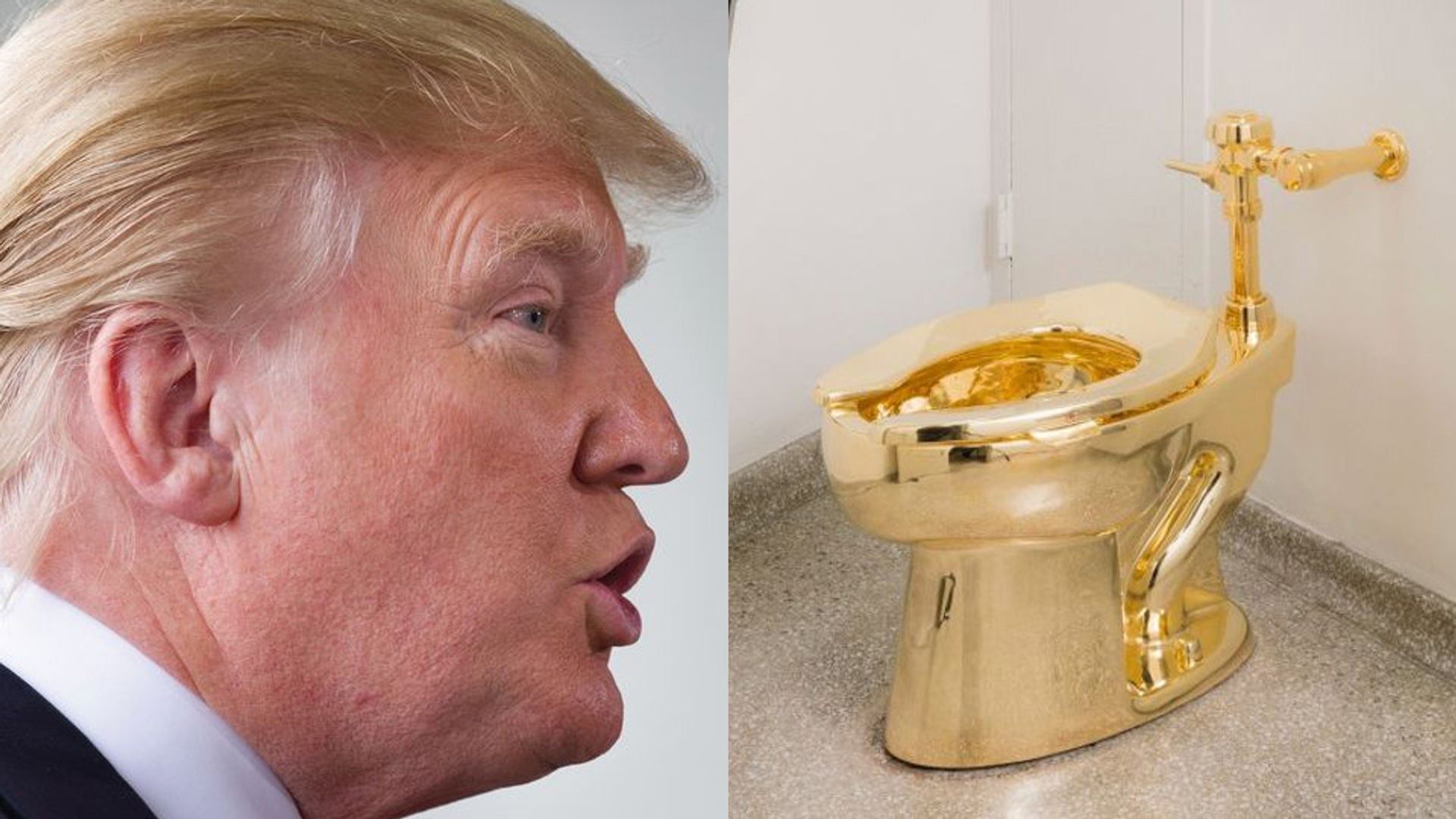 President Donald Trump was offered Maurizio Cattelan’s gold toilet instead of a Van Gogh painting Trump: Matthew Cavanaugh/Getty Images. Toilet: Photo: Kristopher McKay