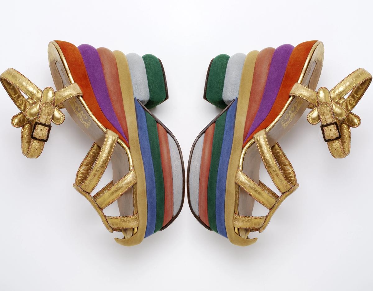 courtesy Shoes: Pleasure and Pain