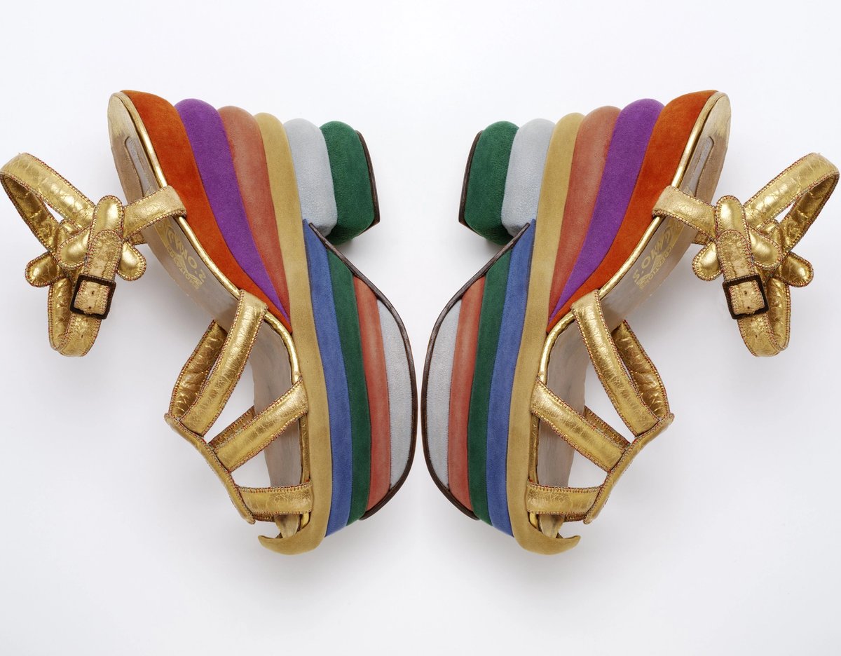 courtesy Shoes: Pleasure and Pain