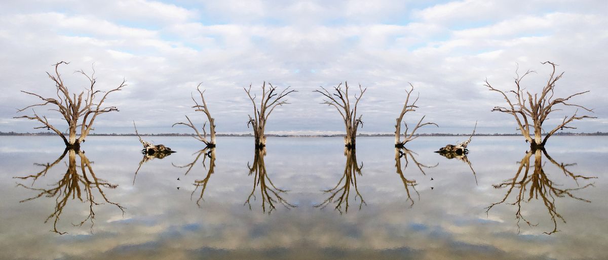 Nici Cumpston, Oh my Murray Darling (2019) Courtesy Qaumajuq-Winnepeg Art Galler