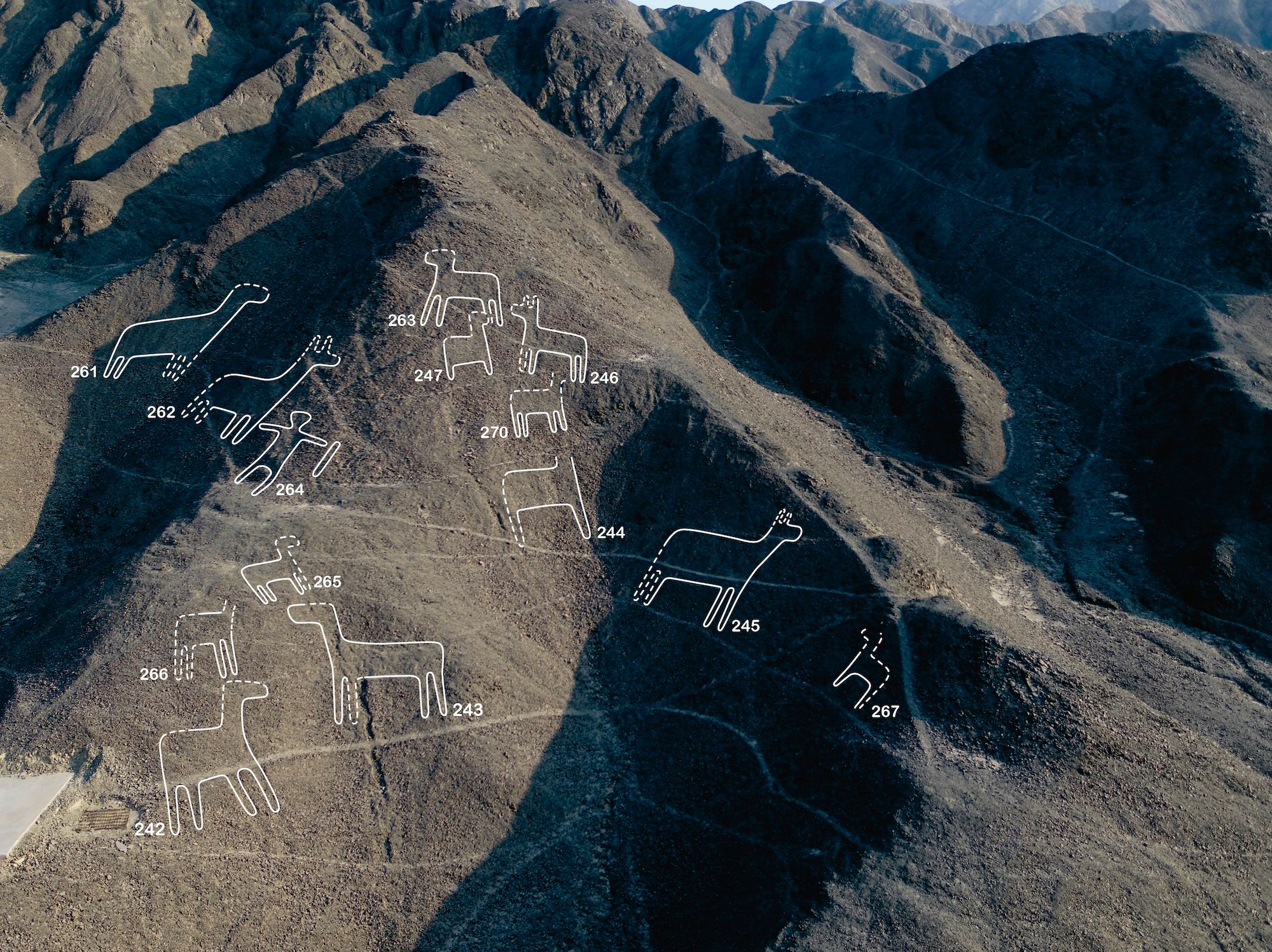 Scientists Used Drones And AI To Identify 168 More Nazca Lines ...