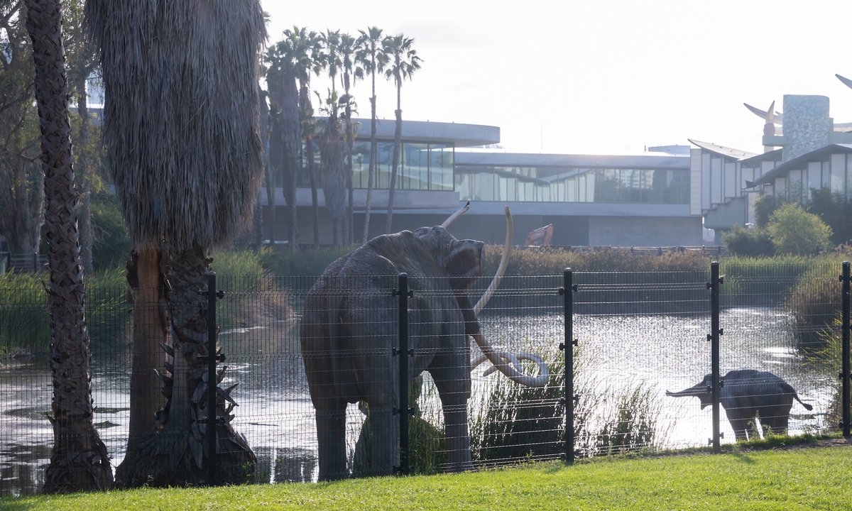 Staff at Lacma vote overwhelmingly in favour of forming a union – The Art Newspaper Staff at Lacma vote overwhelmingly in favour of forming a union – The Art Newspaper