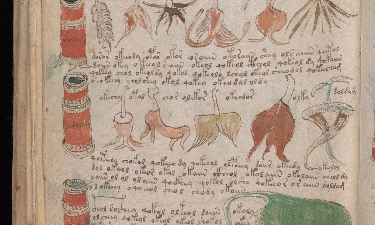 The Voynich Manuscript revealed: five things you probably did not know about the Medieval masterpiece