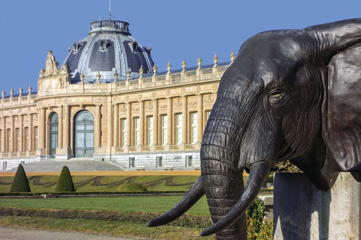 Around 85% of the 120,000 artefacts housed in the Tervuren museum come from the area that is now the DRC


Photo: Clement Philippe/Arterra Picture Library/Alamy


