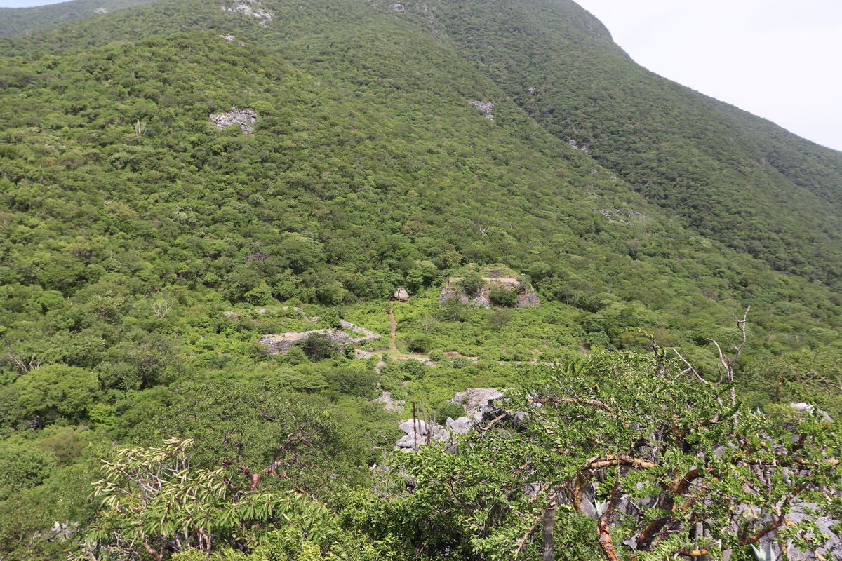 A photograph of Guiengola’s North Plaza, showcasing the largest structures and how the forest covers them Pedro Guillermo Ramón Celis, and the Guiengola Archaeological Project