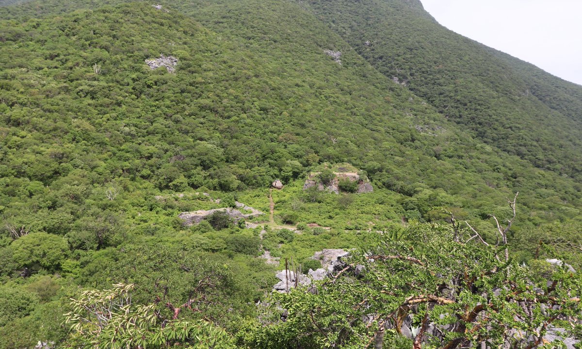 Laser mapping reveals massive ancient Zapotec city in Mexican forest – The Art Newspaper