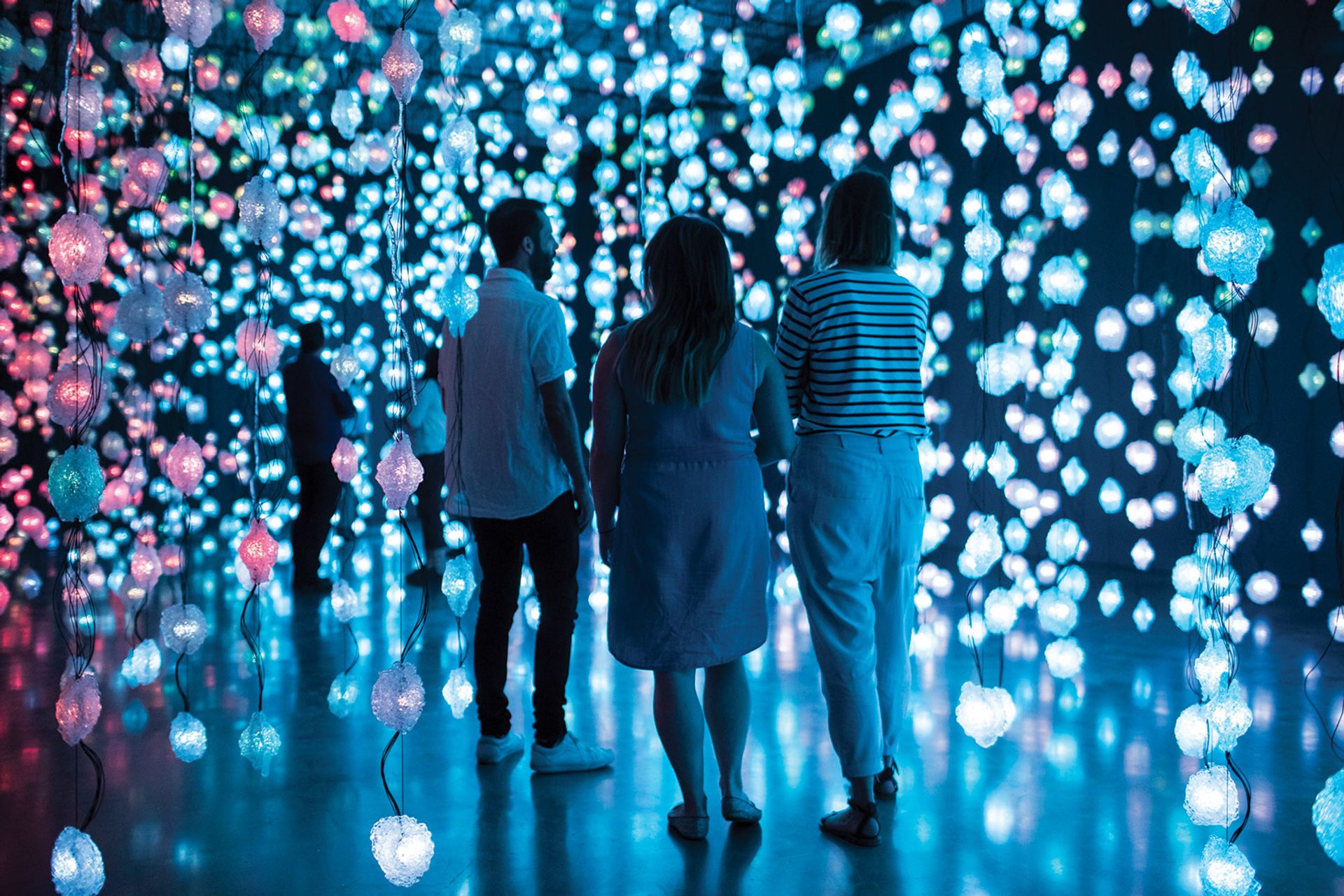 Pipilotti Rist’s Pixelwald Motherboard (Pixel Forest Mutterplatte) (2016), part of the artist’s popular exhibition at the Museum of Contemporary Art Australia in 2017-18. Below, the museum’s director, Liz Ann Macgregor © the artist; courtesy of the artist, Hauser & Wirth and Luhring Augustine; photo: Ken Leanfore