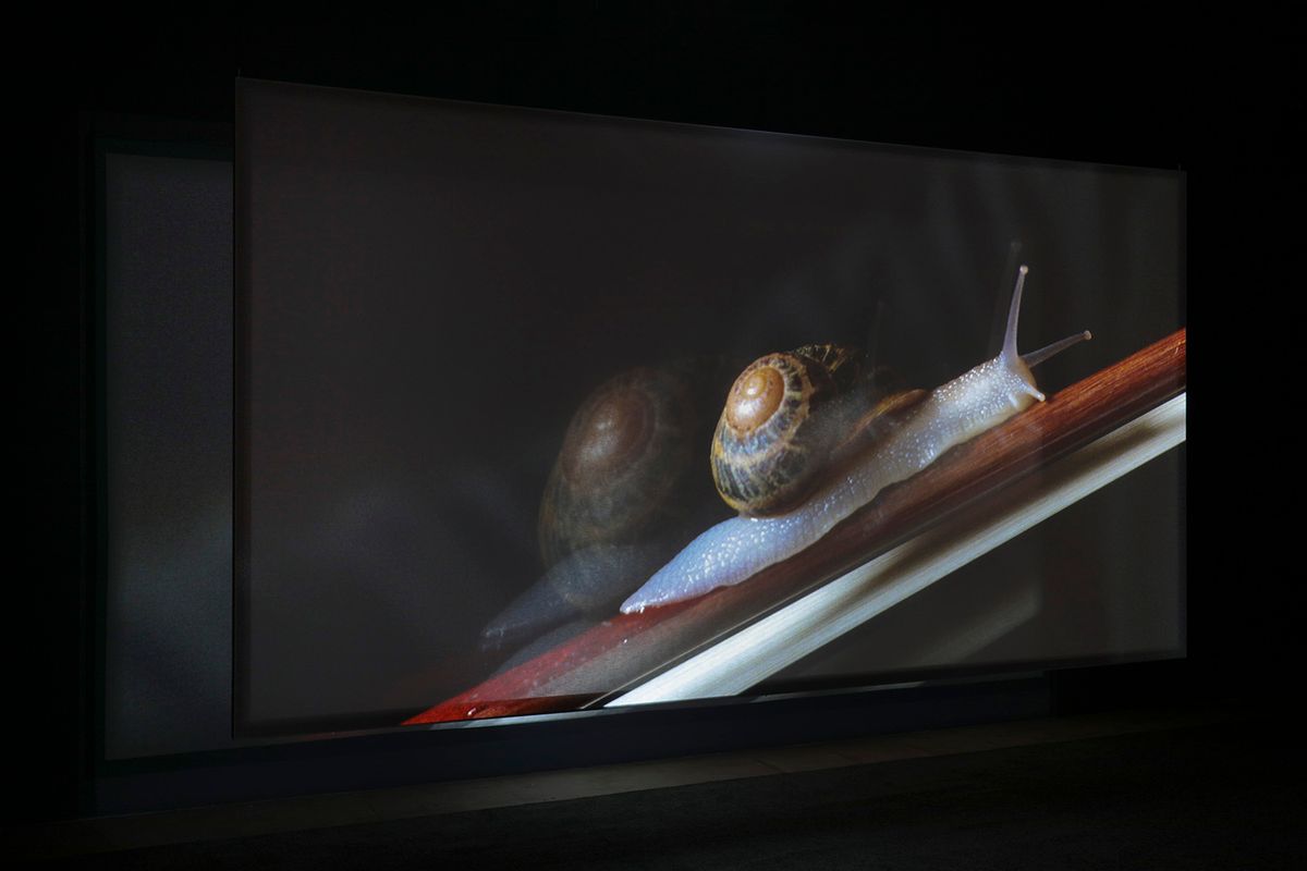 Anri Sala, If and Only If (2018)