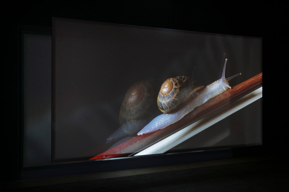 Anri Sala, If and Only If (2018)