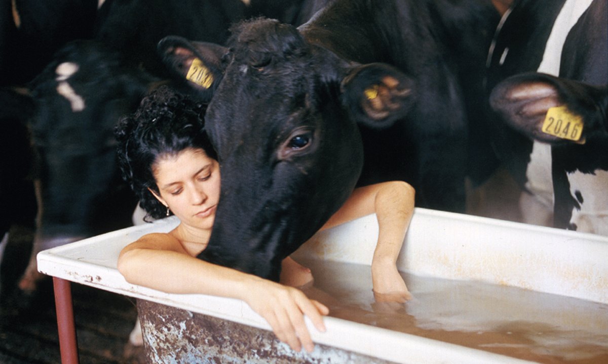 motherhood and its complexities explored in two UK surveys motherhood and its complexities explored in two UK surveys