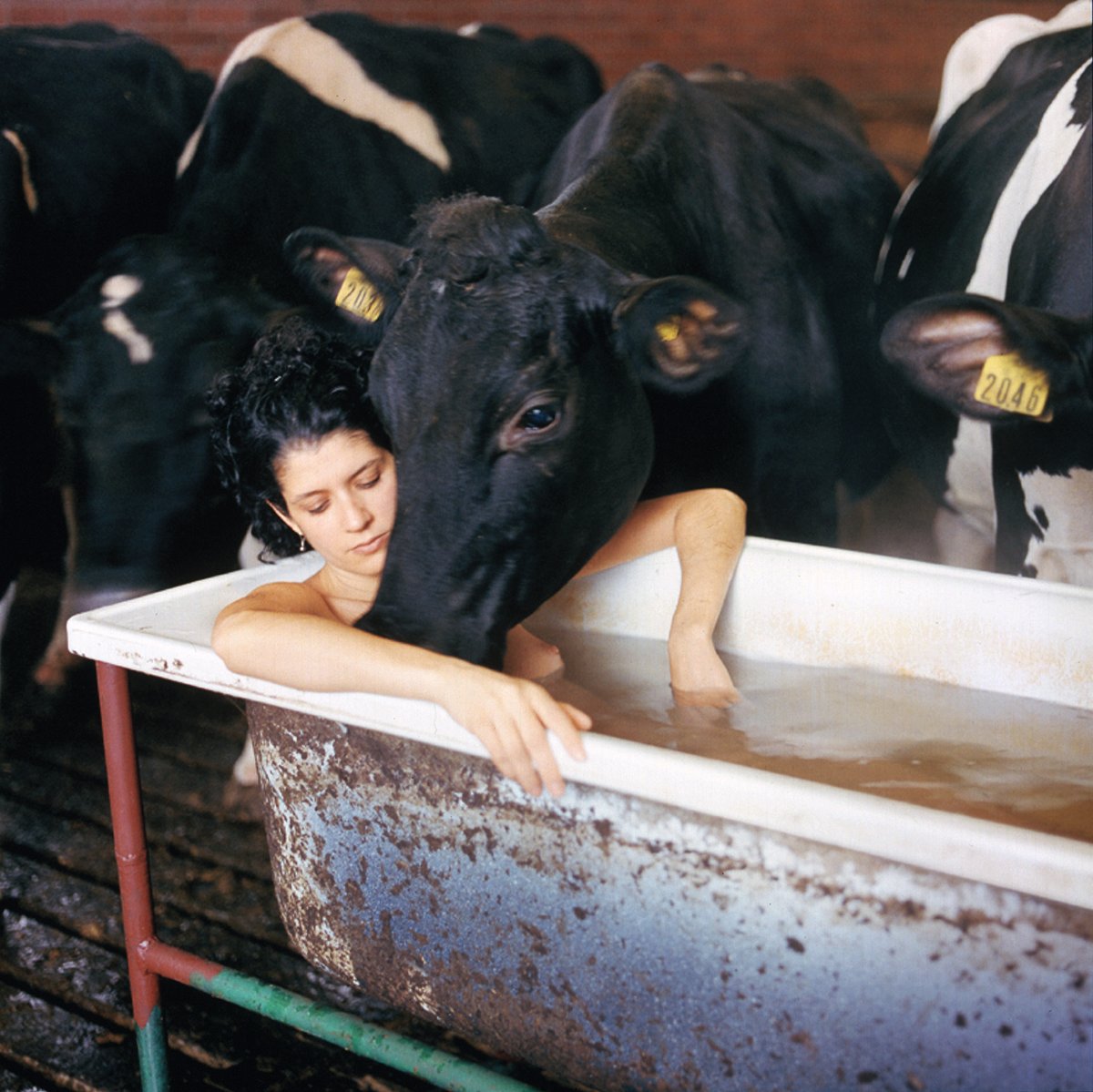 Janine Antoni’s work 2038 (2000) features in Acts of Creation: On Art and Mother
Courtesy of the artist and Luhring Augustine