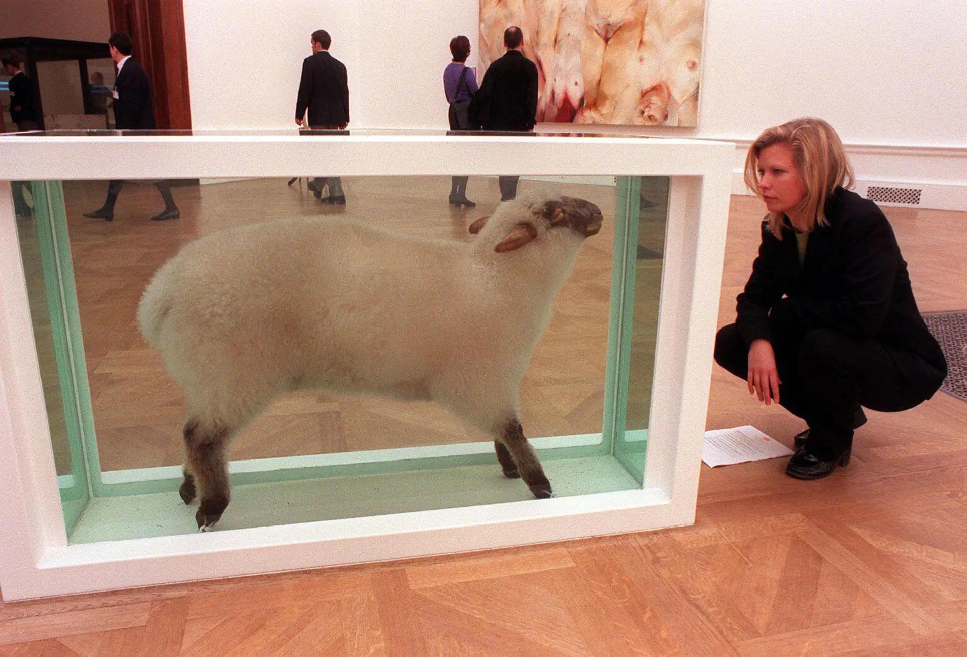 Damien Hirst, Away from the Flock (1994) on display at Sensation at The Royal Academy of Arts in London, 1997 © Damien Hirst and Science Ltd. All rights reserved, DACS 2022. Installation photograph: PA Images / Alamy Stock Photo