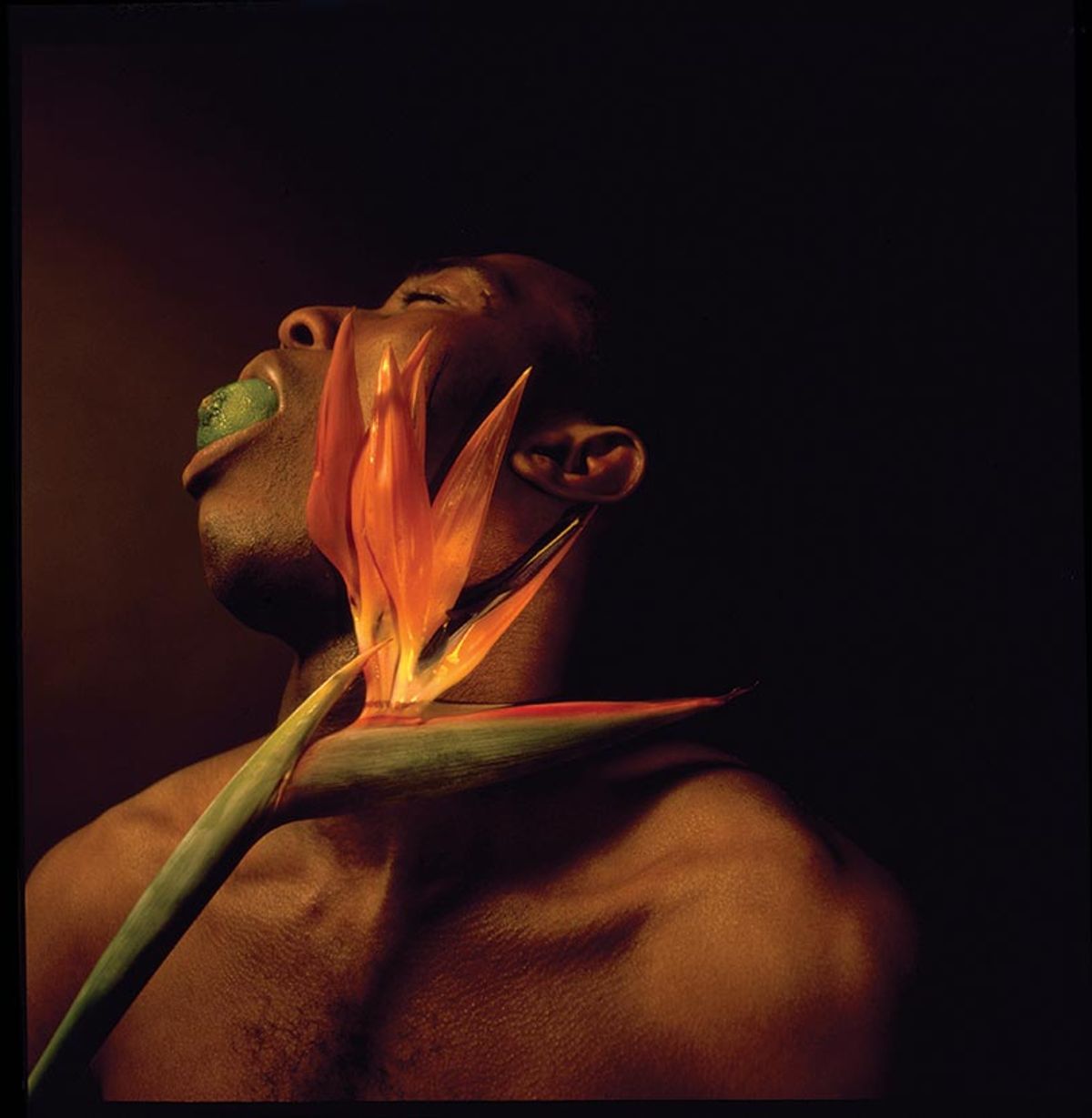 Nigerian-born photographer Rotimi Fani-Kayodé’s Nothing To Lose II, from the series Bodies of Experience (1989) Courtesy of the Revue Noire Collection