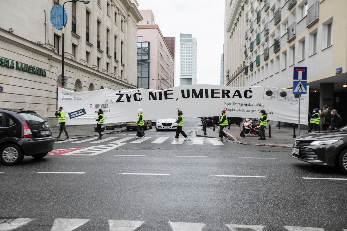 courtesy of Monika Bryk