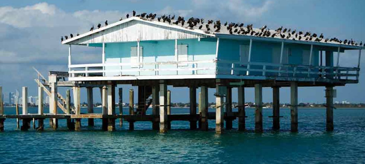 Works by Richard Prince, Mark Grotjahn and others hang out in the bay Photo: Wikimedia Commons