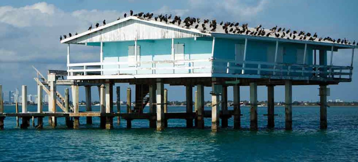 Works by Richard Prince, Mark Grotjahn and others hang out in the bay Photo: Wikimedia Commons