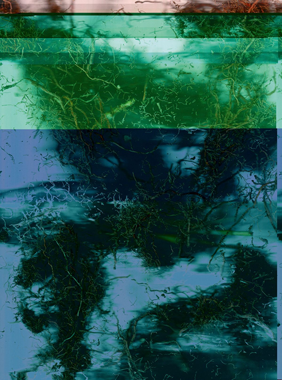 Blorgg Honklorph Malfonxia (2025), a tokenised work by the artist duo LoVid

Courtesy: Verse



