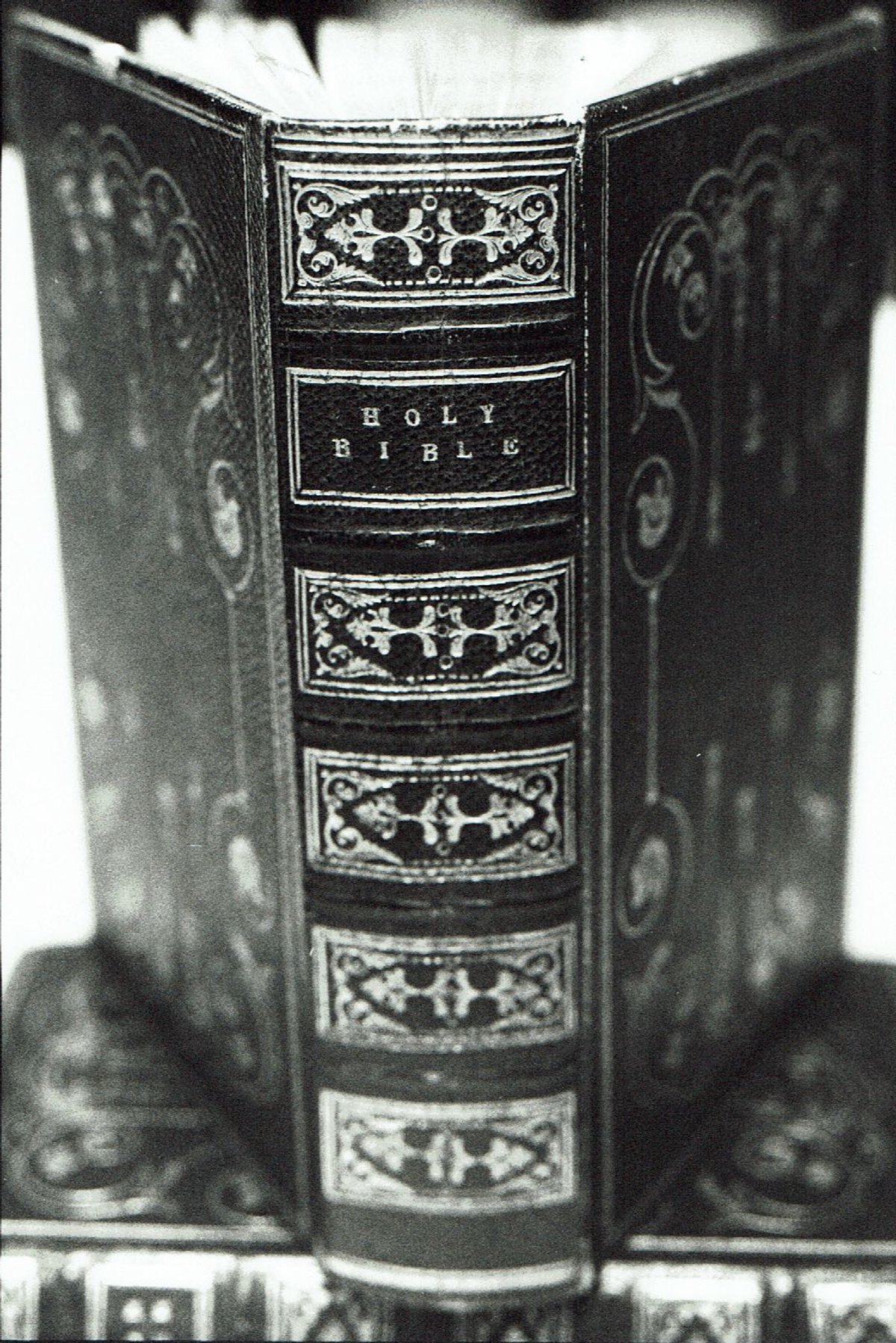 Harry Gladwell’s Bible, from which he and Van Gogh read aloud in their Montmartre rooms Credit: private collection