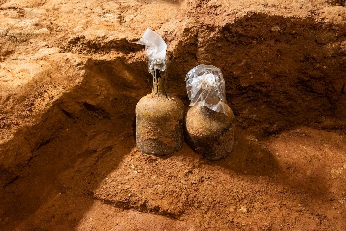 The 250-year-old glass bottles filled with cherries found under a 1770 brick floor at George Washington's mansion at Mount Vernon, Alexandria, Virginia Courtesy the Mount Vernon Ladies’ Association