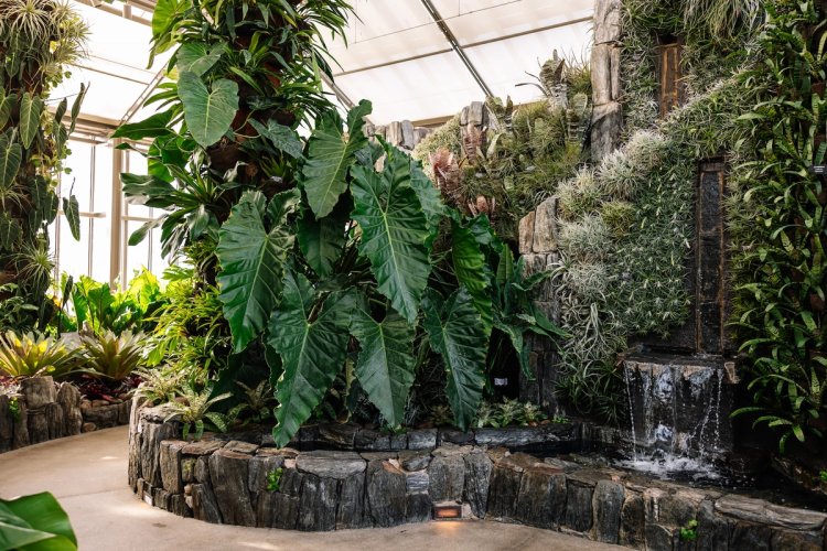Garden party: one of the largest and most historic gardens in the US ...