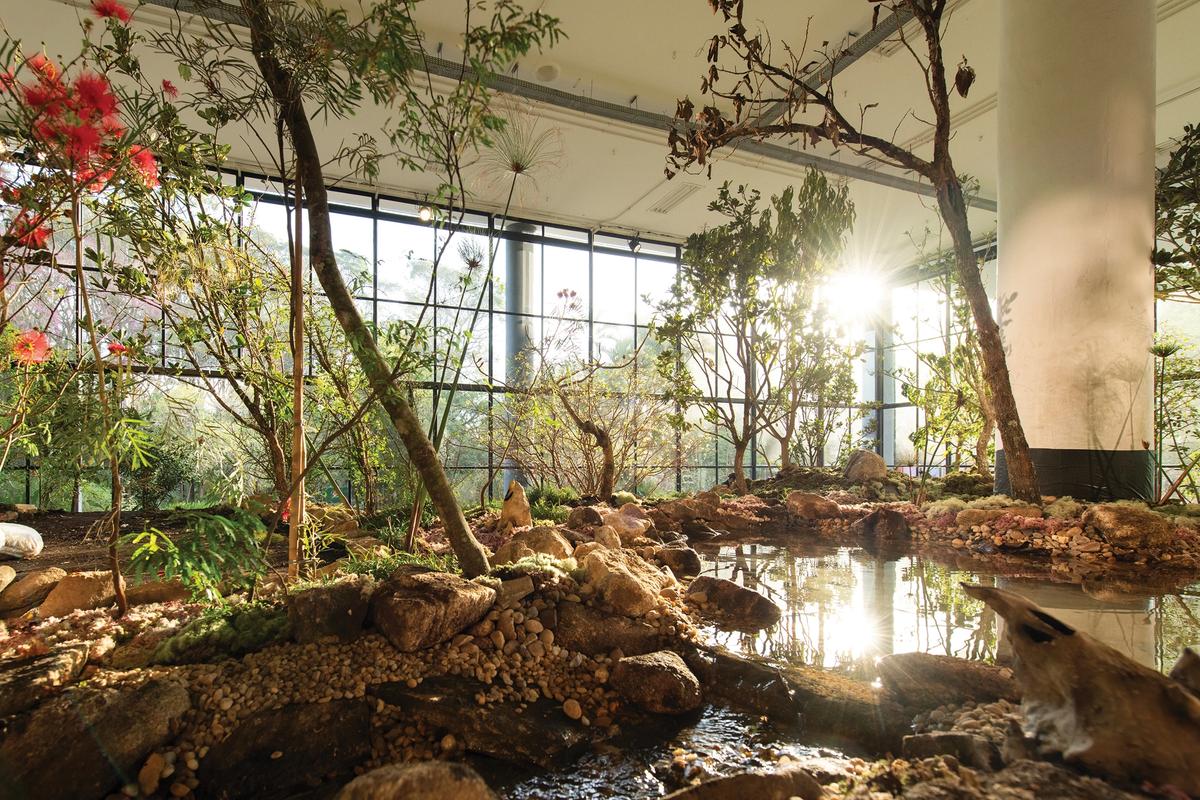An installation view of Precious Okoyomon’s Sun of Consciousness. God Blow Thru Me – Love Break Me (2025), which shows moss-covered earth, waterfalls and other organic elements that evoke a region of Brazil that has been widely deforested
Levi Fanan/Fundação Bienal de São Paulo