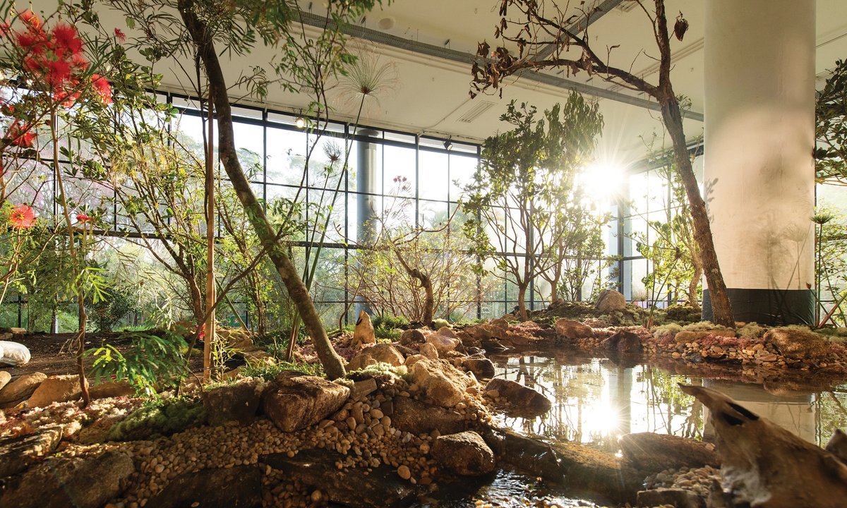 The Big Review | 36th Bienal de São Paulo ★★★★ – The Art Newspaper