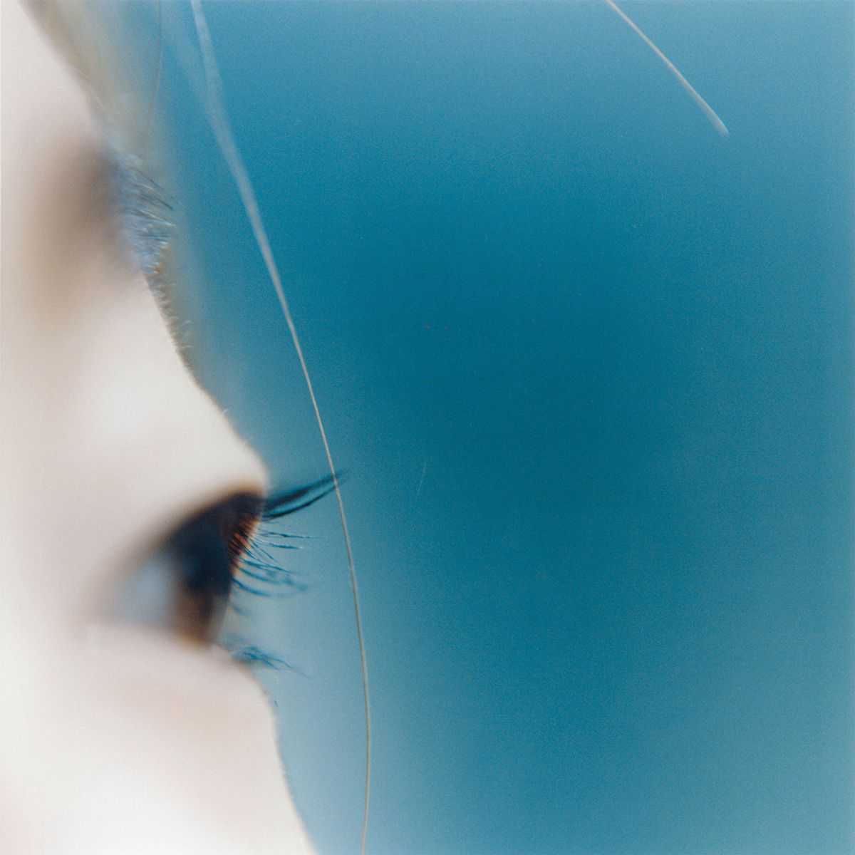 Female vision: Kawauchi Rinko’s Untitled from her the eyes, the ears series
Courtesy the artist and Aperture