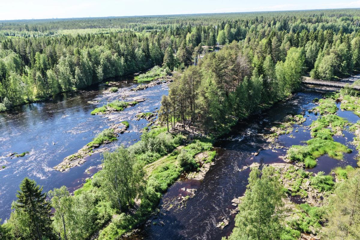 The Koiteli Rapids in Kiiminki, Finland, where Antti Laitinen's You Are Here (2026) is located Photo: Rosa Ruuskanen/Oulu 2026