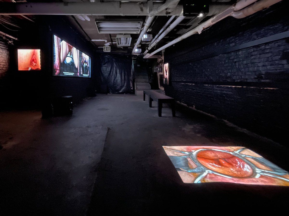 Installation view of Peter Clough: Exaltation of the Porous Body at Haul Gallery Courtesy the artist and Haul Gallery